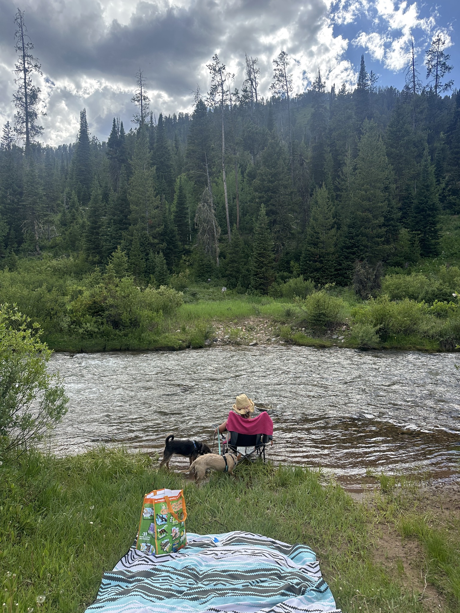 A woman and two dogs relaxing streamside at Cliff Creek